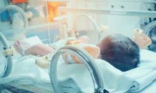 Un bébé se trouvant dans une couveuse. Photo: AlloDocteurs