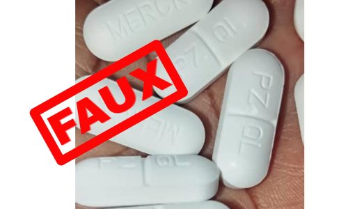 FAUX (2)